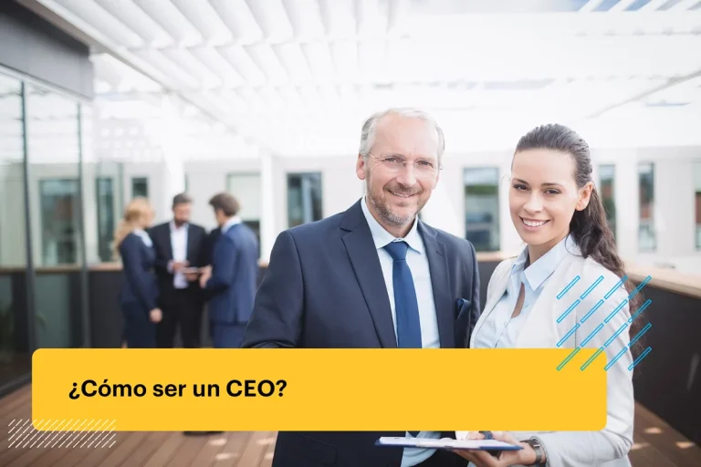 que es ceo